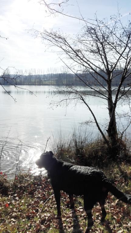 Gite Au Lac Du Gouyre Puygaillard-de-Quercy 외부 사진